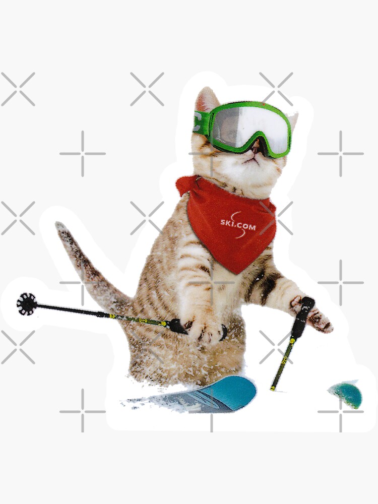Cat Skiing Ski Kitten Skier Cute Funny by letourneau41
