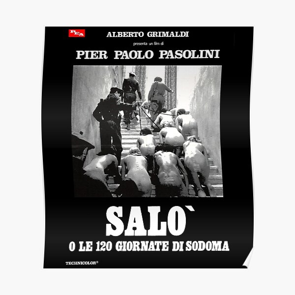 Pasolini Posters Redbubble