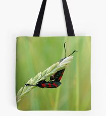 Burnet Moths Tote Bag