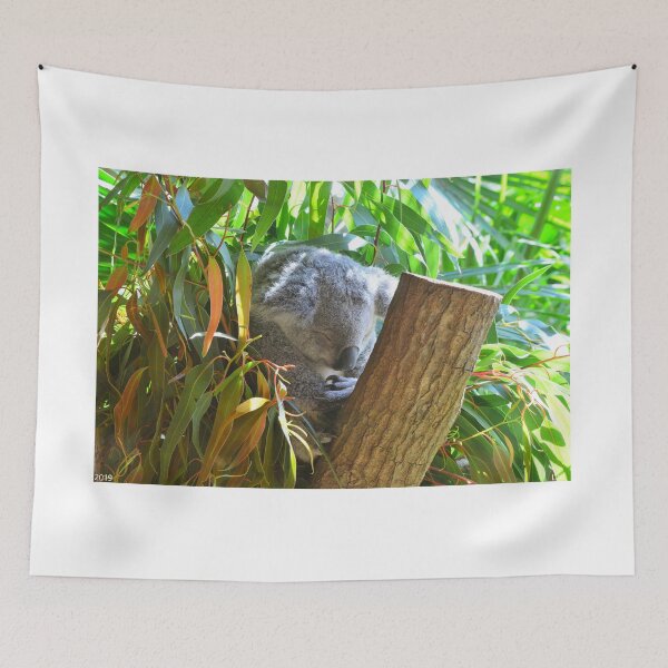 Item preview, Koala Bear Prayers designed and sold by LisaWootenPhoto.