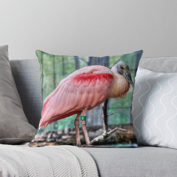 Item preview, Roseate Spoonbill designed and sold by Larry Trupp.