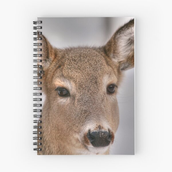 Item preview, Whitetail Portrait designed and sold by Larry Trupp.