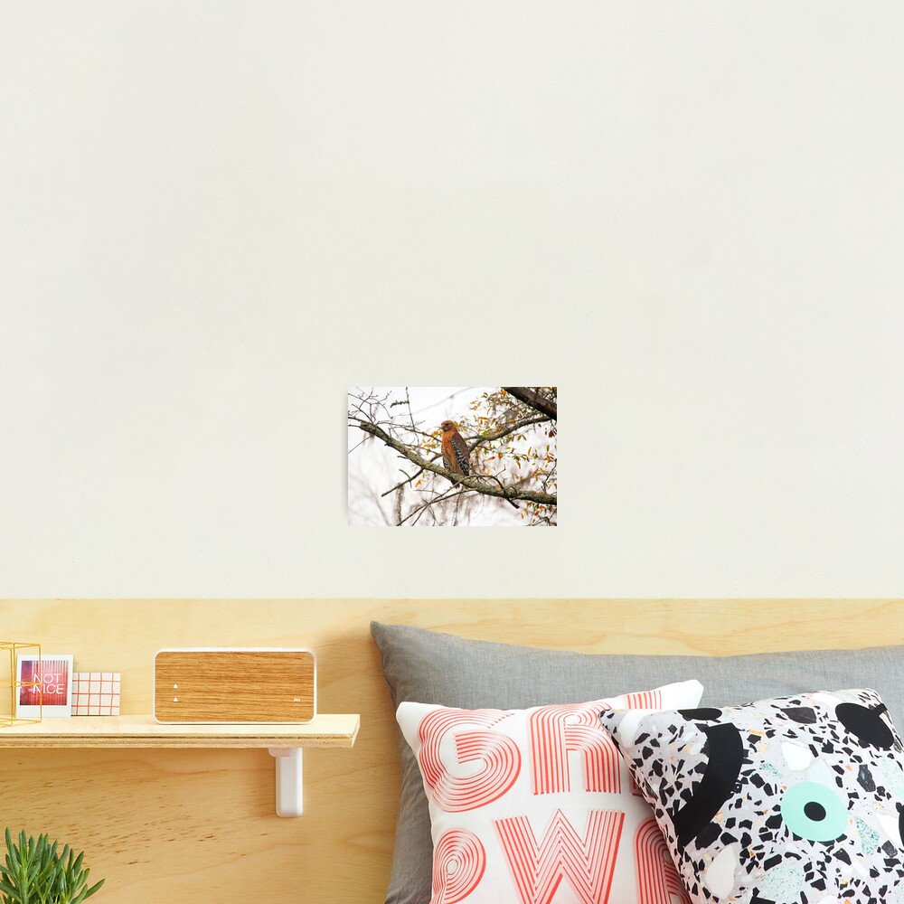 Item preview, Photographic Print designed and sold by Cynthia48.
