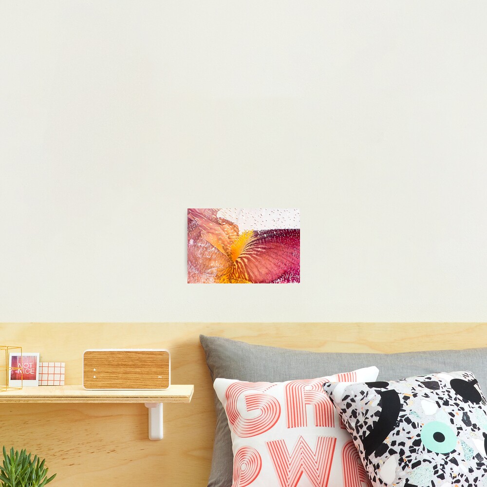 Item preview, Photographic Print designed and sold by Frozen-Spring.