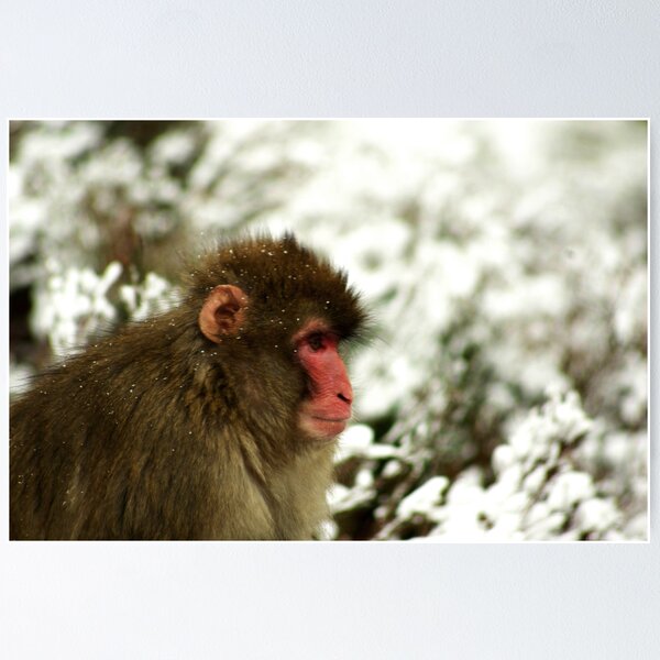 Item preview, Monkey cold designed and sold by Suzanne Edge.