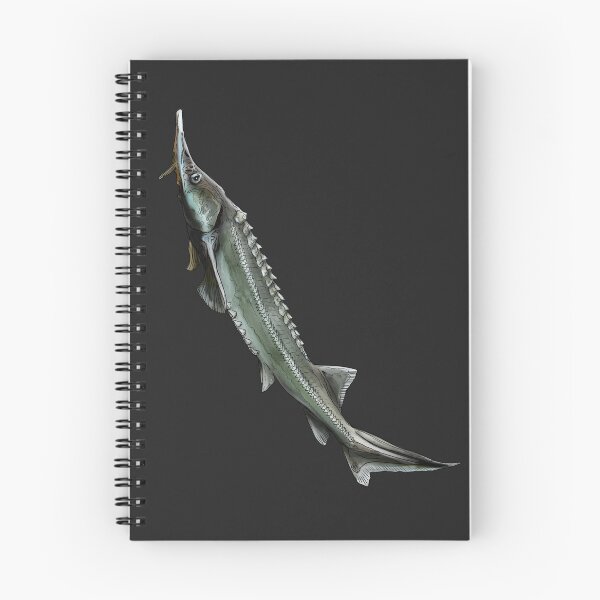 Item preview, Sturgeon sturgeon designed and sold by InkFish Art.