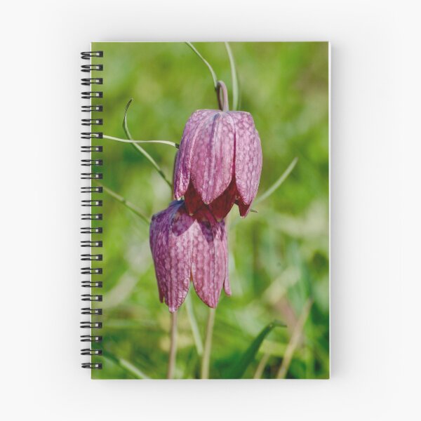 Item preview, Snakeshead fritillary, Cricklade designed and sold by Tizz07.