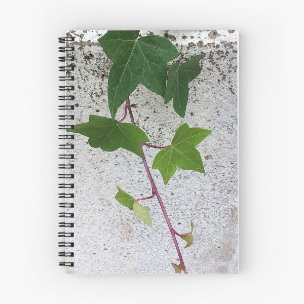 Item preview, The Urban Vineyard designed and sold by Xavier Addie.