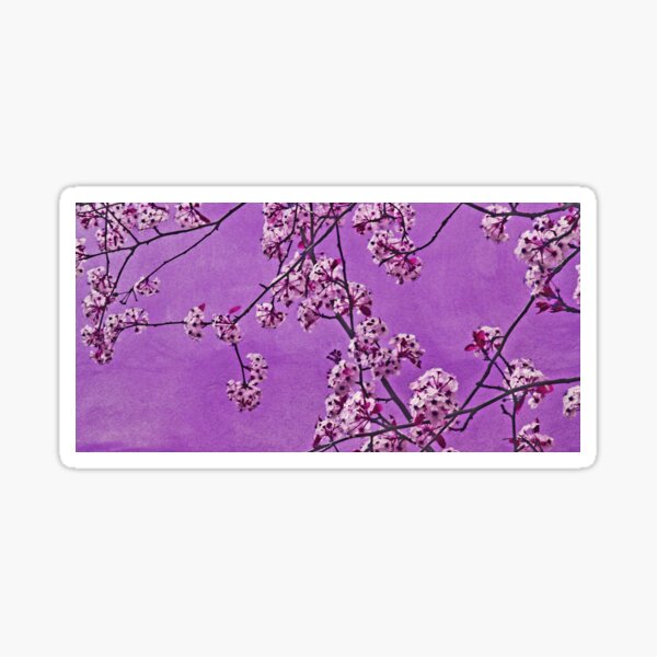 Arrival Sticker