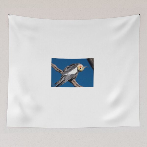 Item preview, Cockatiel designed and sold by StevenRalserPhoto.