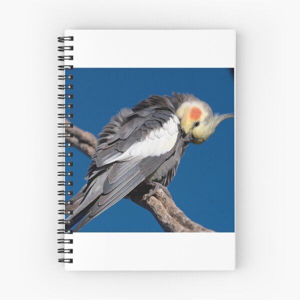 Item preview, Cockatiel designed and sold by StevenRalserPhoto.