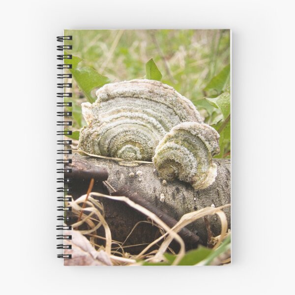 Item preview, Nature patterns  designed and sold by Gabriel Newton Simmons.
