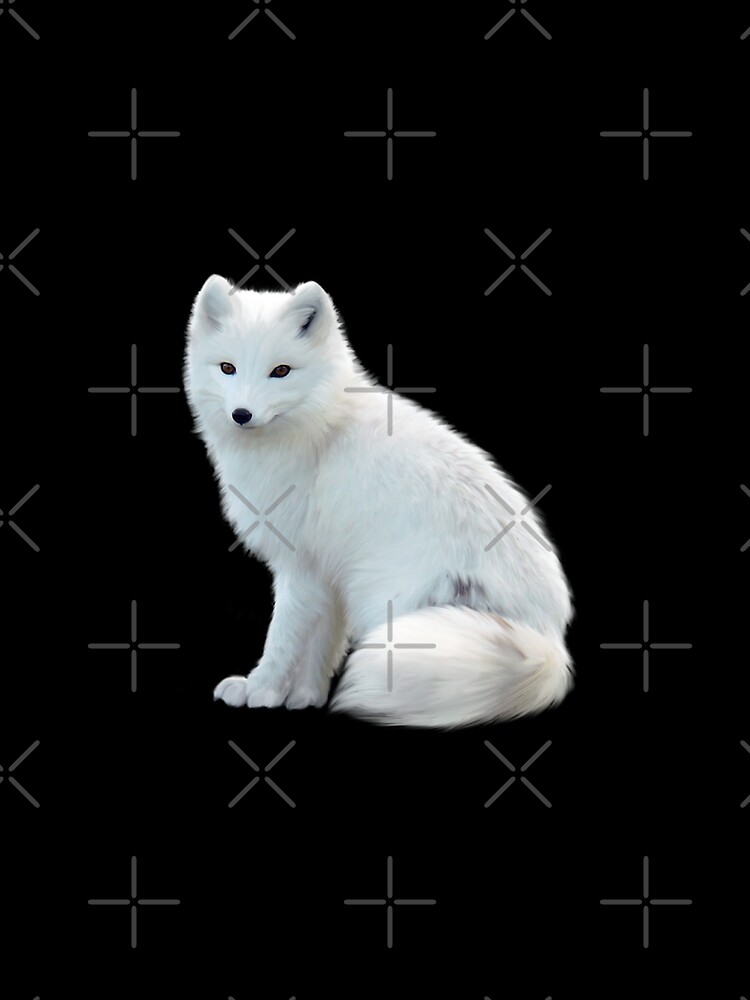 fjallraven arctic fox t shirt