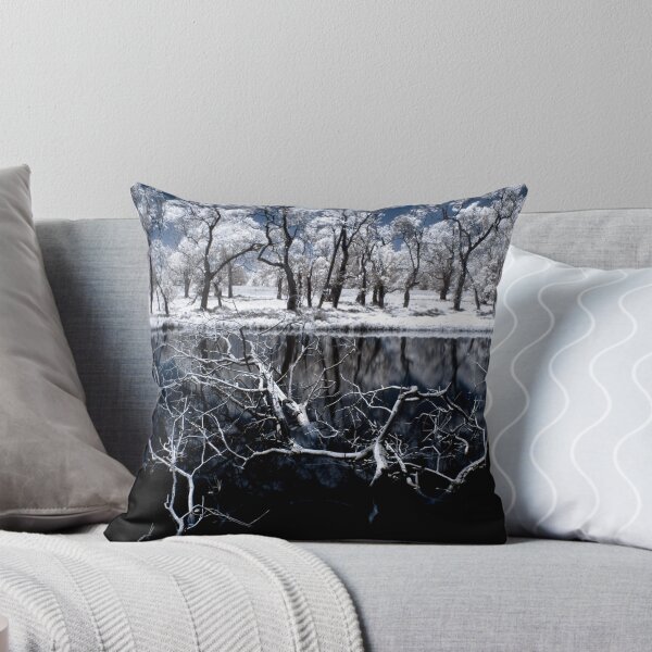 Nirvana Throw Pillow