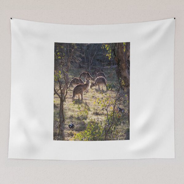 Item preview, Kangaroos and Magpies - Canberra - Australia designed and sold by StevenRalserPhoto.