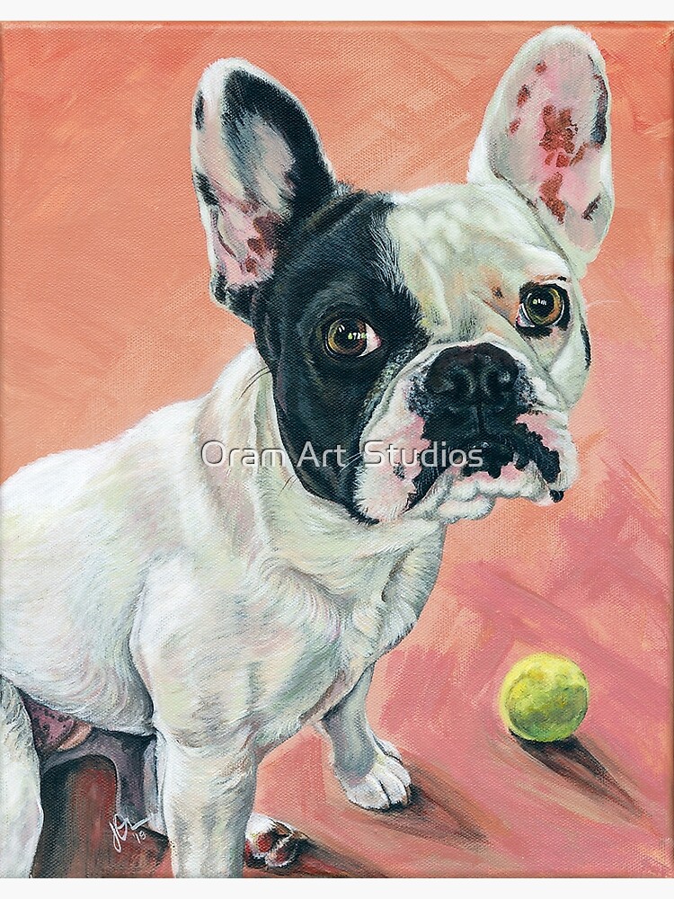 french bulldog acrylic painting