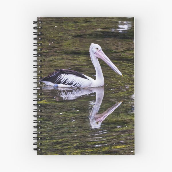 Item preview, Pelican - Narooma - Australia designed and sold by StevenRalserPhoto.
