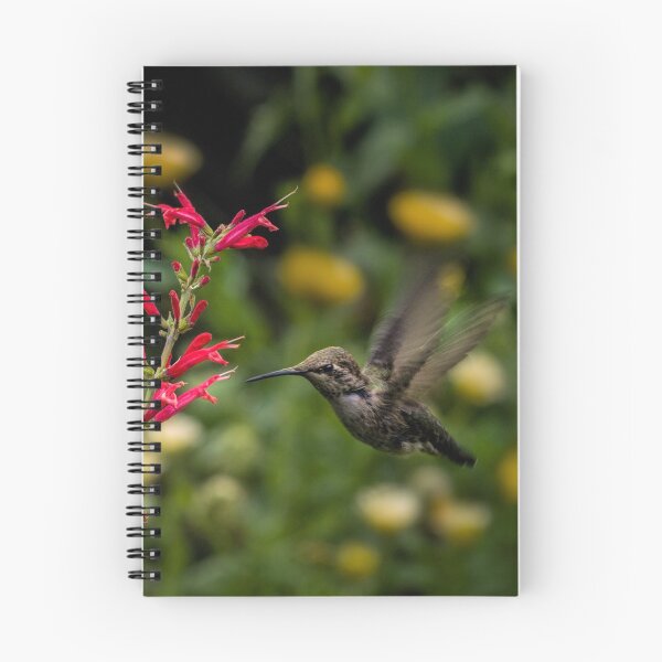 Artikelvorschau, Annas Kolibri und Penstemon entworfen und verkauft von Art in Nature.
