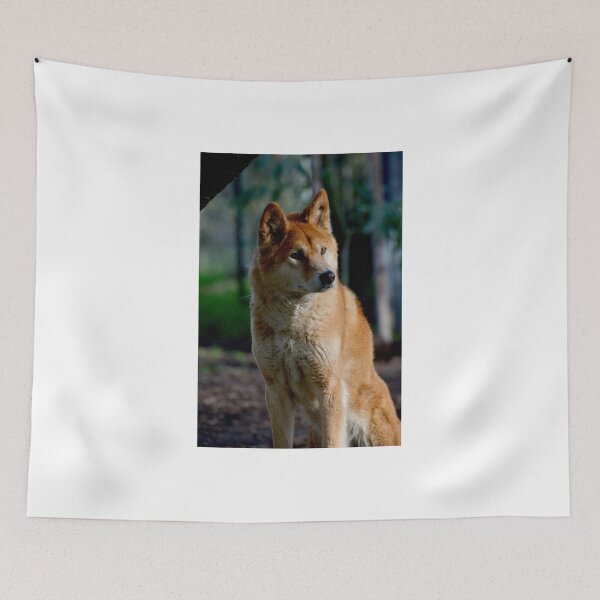 Item preview, Dingo Gaze designed and sold by GP1746.