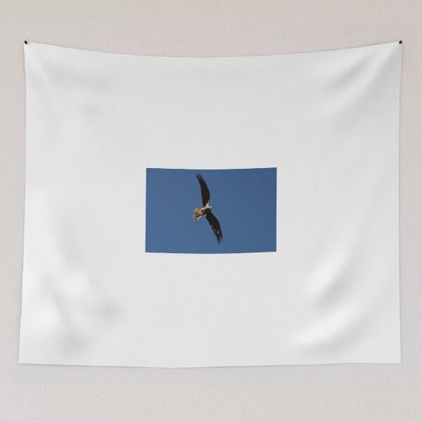 Item preview, Birds Eye designed and sold by GP1746.