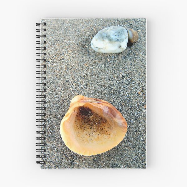 Item preview, shell designed and sold by KathleenDawson.