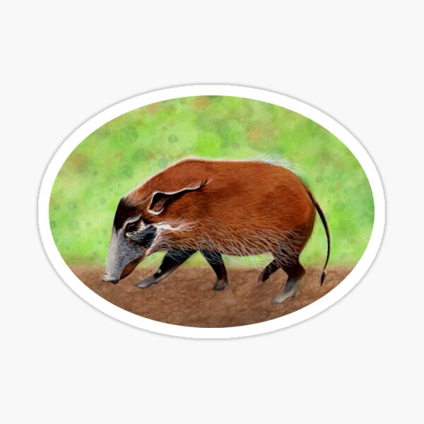 Red River Hog Sticker