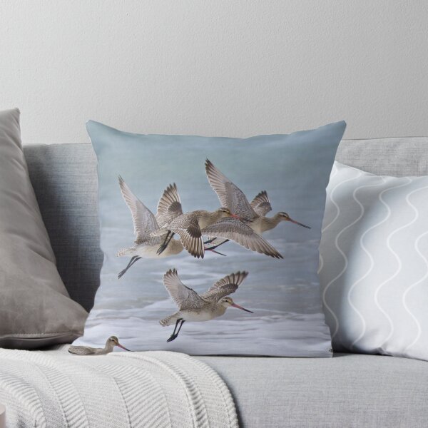 Item preview, SHOREBIRD ~ Bar-tailed Godwit fVNAxaRs by David Irwin ~ WO designed and sold by tasmanianartist.