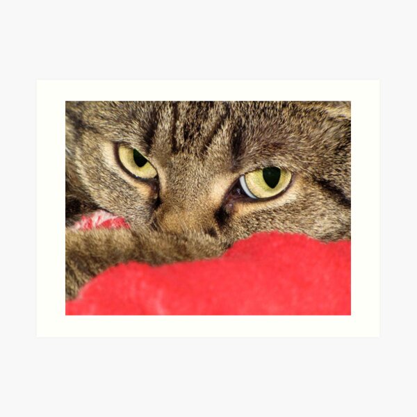 Go Away Art Print