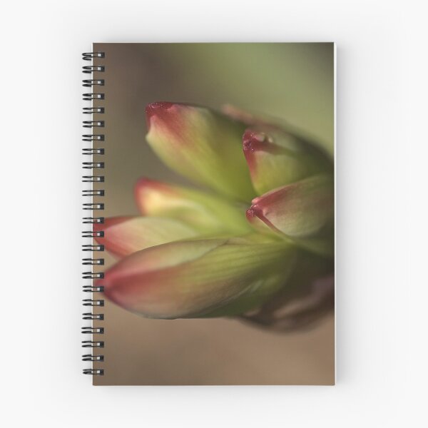 Artikelvorschau, Belladonna Lily entworfen und verkauft von Joy Watson - Natural Light Photography .