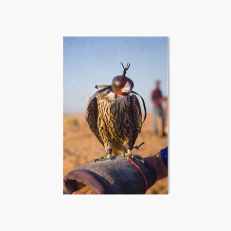 Peregrine Falcon Art Board Print