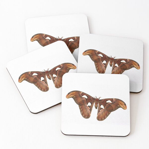 Item preview, Atlas Moth designed and sold by cuprum.