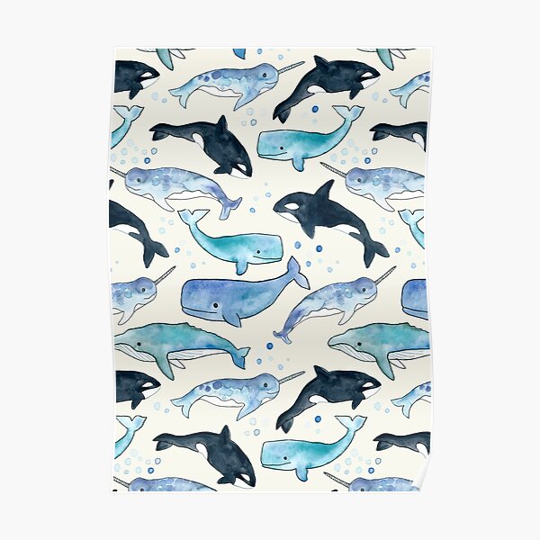 Whales, Orcas & Narwhals Poster