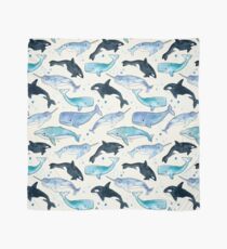 Pañuelo Ballenas, Orcas y Narwhals
