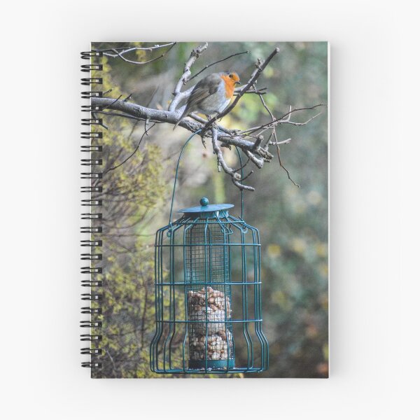 Item preview, Robin on the Feeder designed and sold by James Stokes.