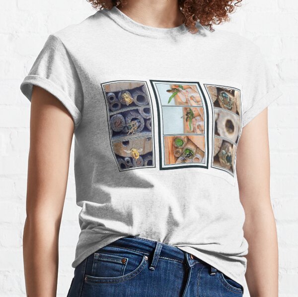 Busy bee box Classic T-Shirt