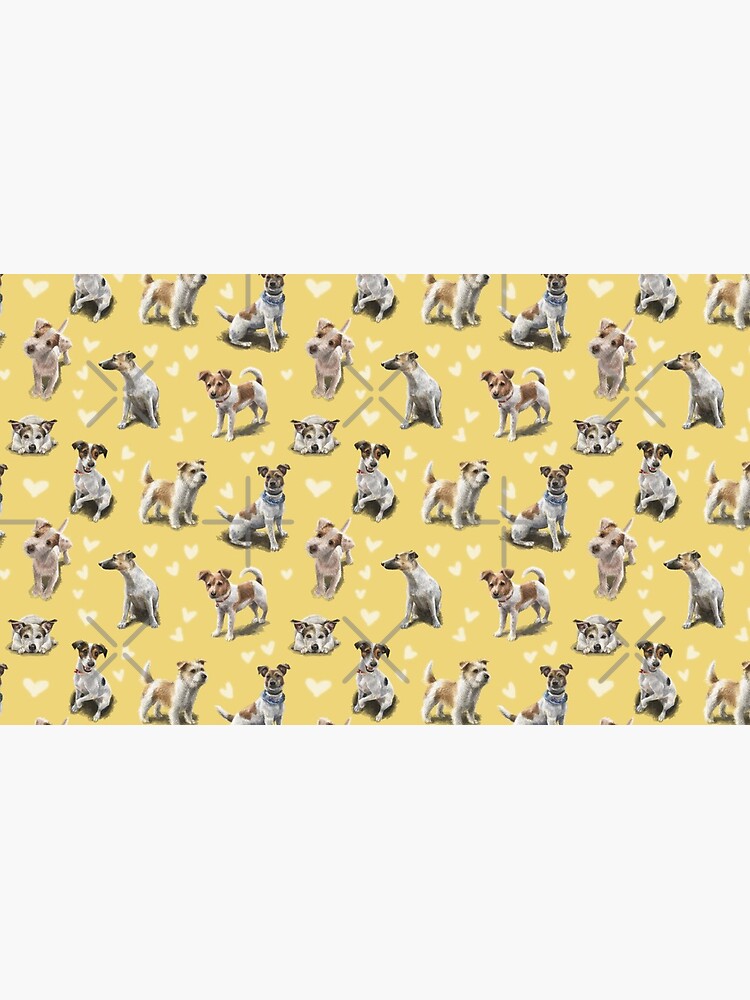 The Jack Russell Terrier by elspethrose