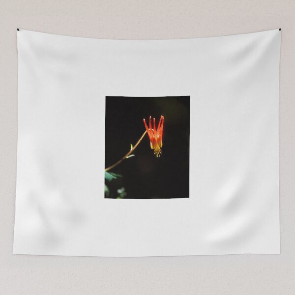 Artikelvorschau, Columbine Flower entworfen und verkauft von StevenRalserPhoto.