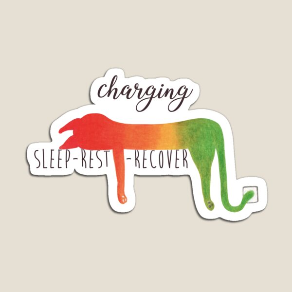 Charging - Sleep - rest - recover Magnet