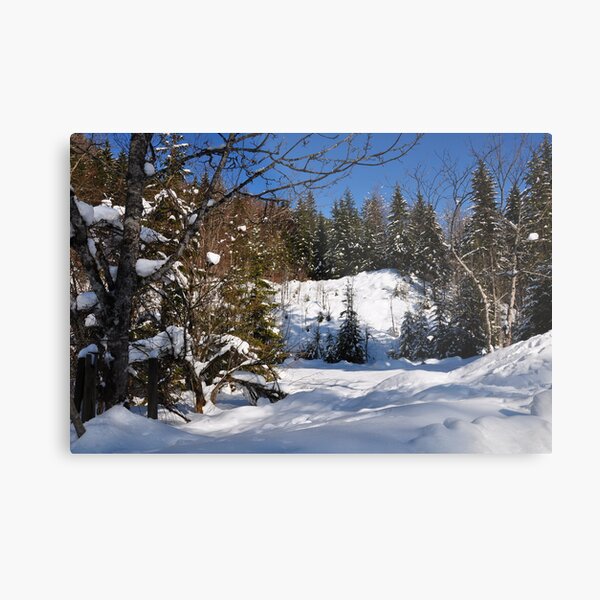 Winter Scene Metal Print