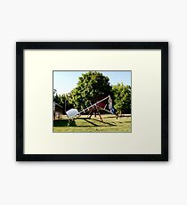 Pouyiok- 4th of July series 3 of 8 Framed Print