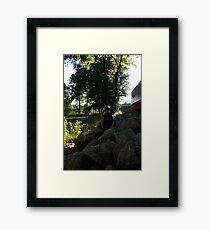 Pouyiok 4th of July series 7 of 8 Framed Print