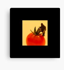 Mini-Creatives: Tomato Series 1 - Thief Canvas Print