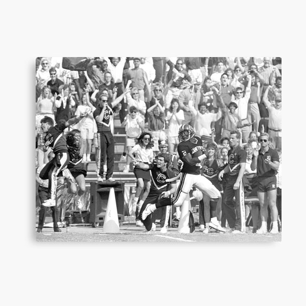 TOUCHDOWN Metal Print