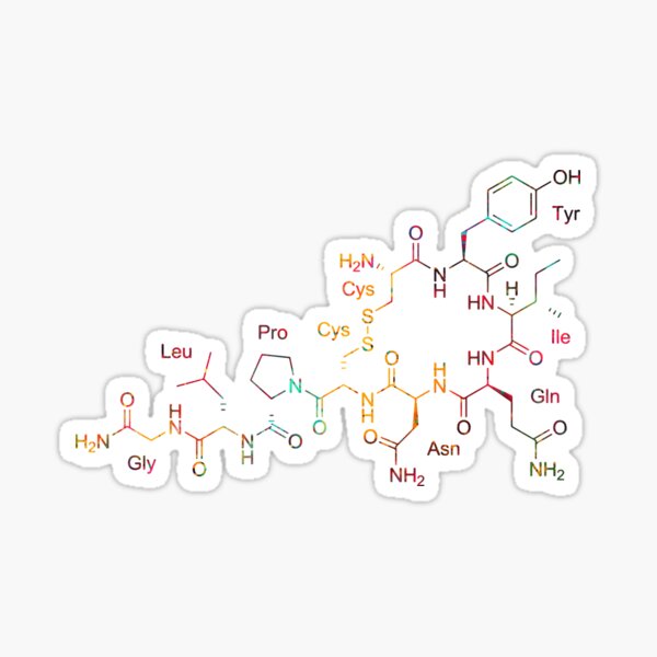 Oxytocin Hormone Of Love Sticker