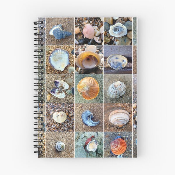 Item preview, shell designed and sold by KathleenDawson.
