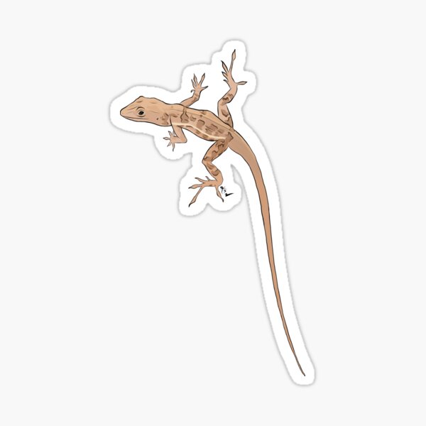 Item preview, Anolis lineatopus (no text) designed and sold by kmwinchell.