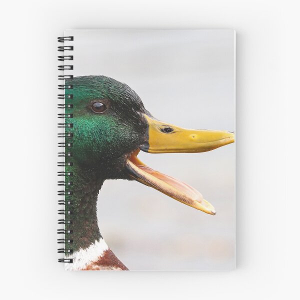 Artikelvorschau, Quacksalber! entworfen und verkauft von GreyFeatherPhot.