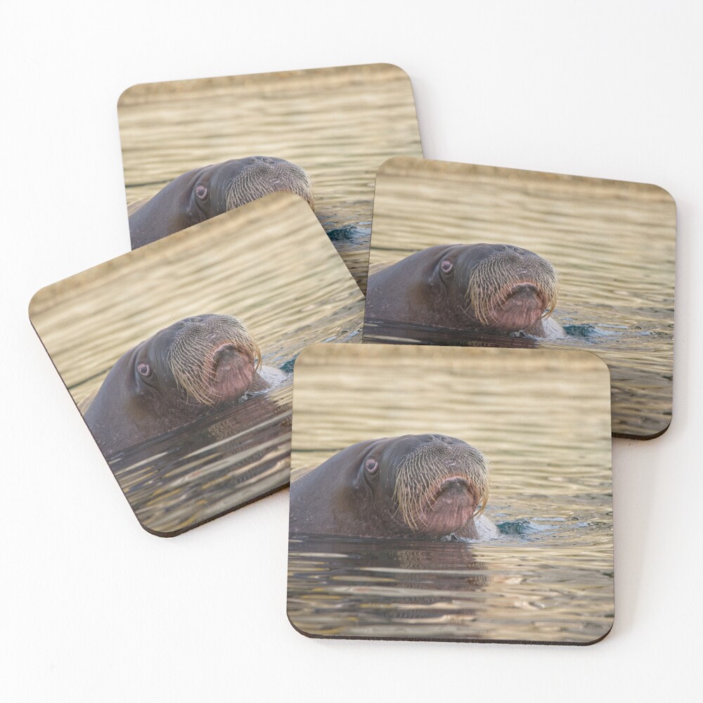 Item preview, Coasters (Set of 4) designed and sold by rawshutterbug.