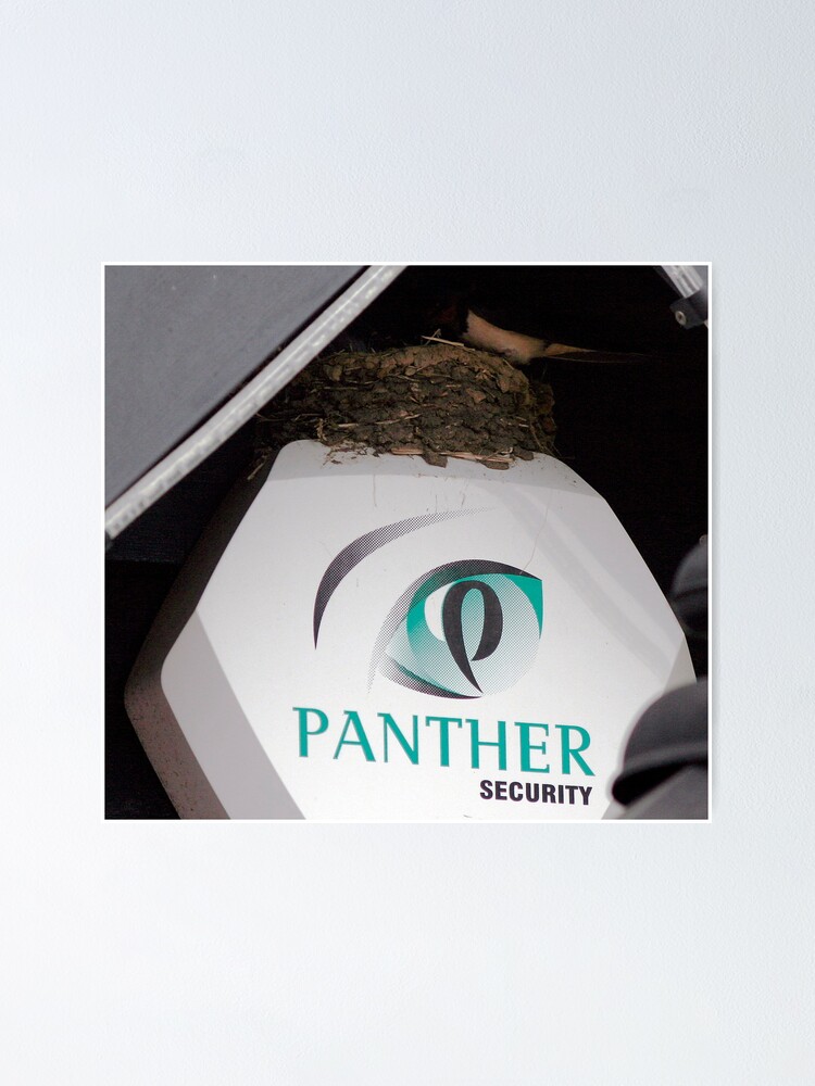 Thumbnail 1 of 3, Poster, Protected Nest designed and sold by snapdecisions.