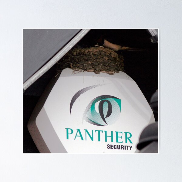 Item preview, Protected Nest designed and sold by snapdecisions.